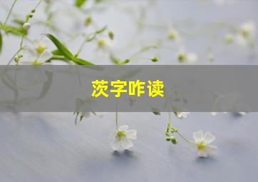 茨字咋读