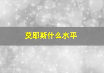 莫耶斯什么水平