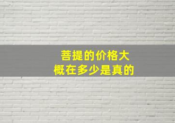 菩提的价格大概在多少是真的