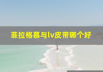 菲拉格慕与lv皮带哪个好