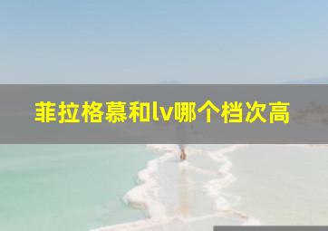 菲拉格慕和lv哪个档次高