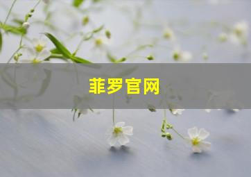 菲罗官网