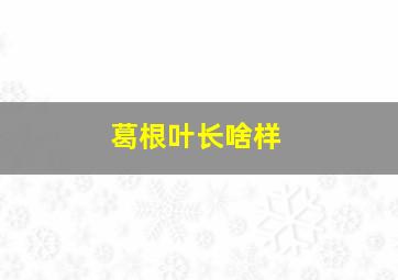 葛根叶长啥样