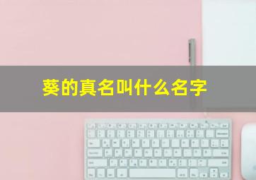 葵的真名叫什么名字