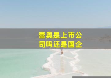 蕾奥是上市公司吗还是国企