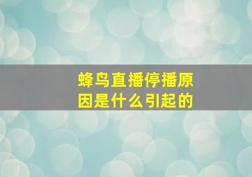 蜂鸟直播停播原因是什么引起的