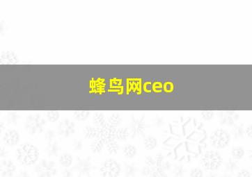 蜂鸟网ceo