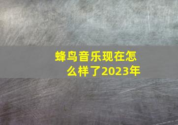 蜂鸟音乐现在怎么样了2023年