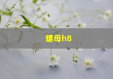 螺母h8