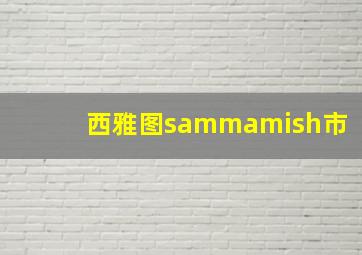 西雅图sammamish市