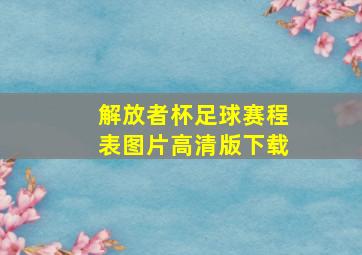 解放者杯足球赛程表图片高清版下载