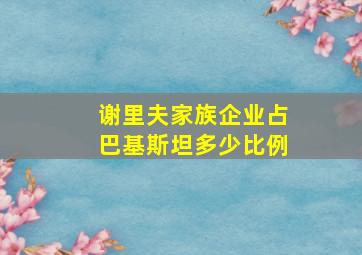 谢里夫家族企业占巴基斯坦多少比例