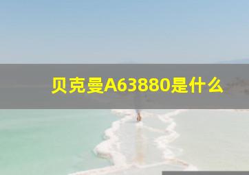 贝克曼A63880是什么