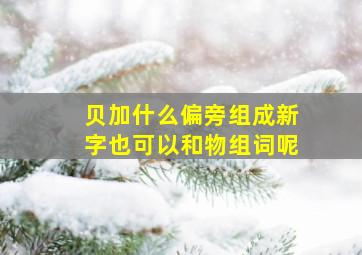 贝加什么偏旁组成新字也可以和物组词呢