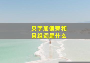 贝字加偏旁和目组词是什么