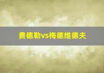 费德勒vs梅德维德夫