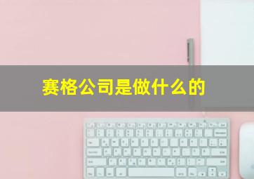 赛格公司是做什么的