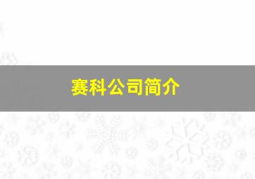 赛科公司简介