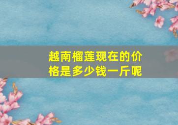 越南榴莲现在的价格是多少钱一斤呢