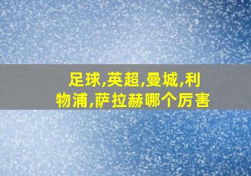 足球,英超,曼城,利物浦,萨拉赫哪个厉害