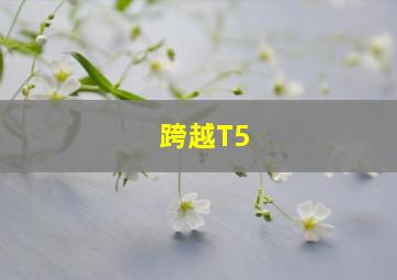 跨越T5