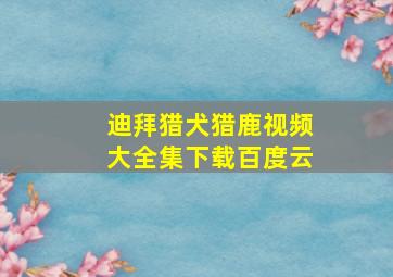 迪拜猎犬猎鹿视频大全集下载百度云