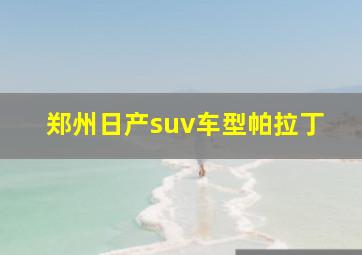 郑州日产suv车型帕拉丁