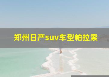 郑州日产suv车型帕拉索