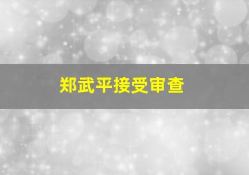 郑武平接受审查