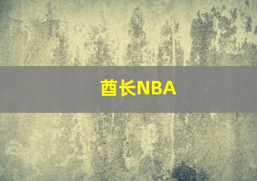 酋长NBA