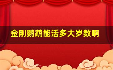 金刚鹦鹉能活多大岁数啊