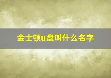 金士顿u盘叫什么名字