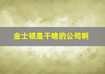 金士顿是干啥的公司啊