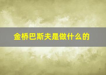 金桥巴斯夫是做什么的