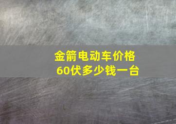 金箭电动车价格60伏多少钱一台