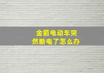 金箭电动车突然断电了怎么办