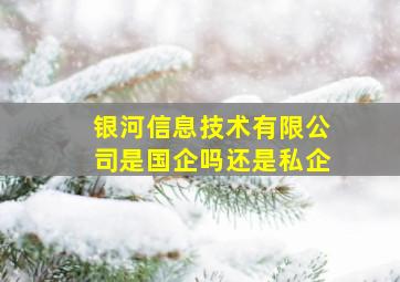 银河信息技术有限公司是国企吗还是私企