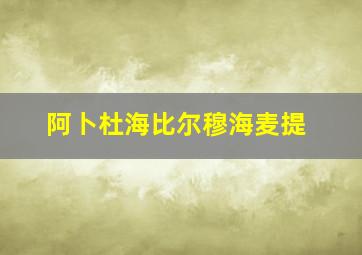 阿卜杜海比尔穆海麦提