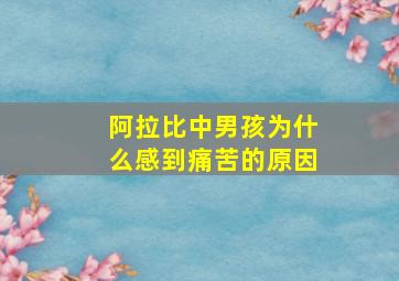 阿拉比中男孩为什么感到痛苦的原因