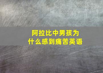 阿拉比中男孩为什么感到痛苦英语