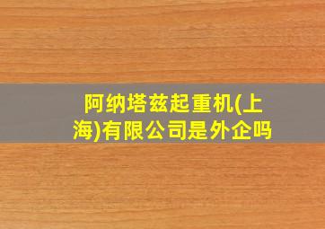 阿纳塔兹起重机(上海)有限公司是外企吗