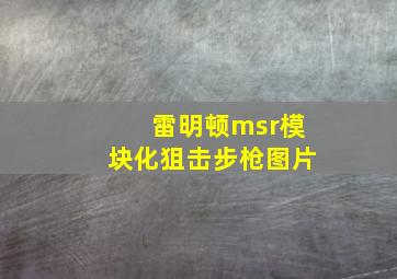 雷明顿msr模块化狙击步枪图片