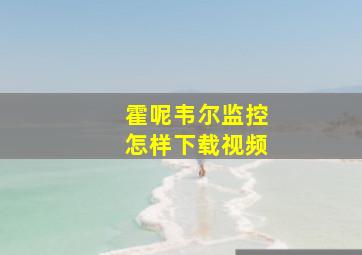 霍呢韦尔监控怎样下载视频