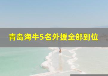 青岛海牛5名外援全部到位