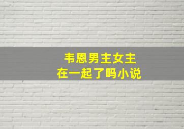 韦恩男主女主在一起了吗小说