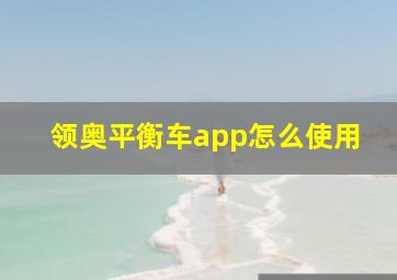 领奥平衡车app怎么使用