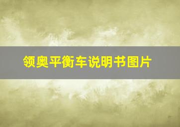 领奥平衡车说明书图片