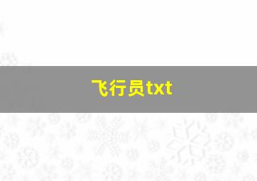 飞行员txt