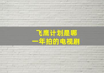 飞鹰计划是哪一年拍的电视剧