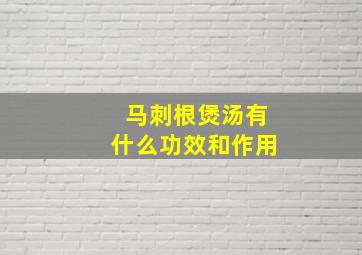 马刺根煲汤有什么功效和作用